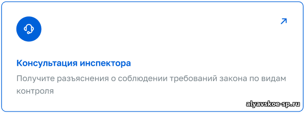 Госуслуги: Консультация по вопросам контроля и надзора Госуслуги: Консультация по вопросам контроля и надзора